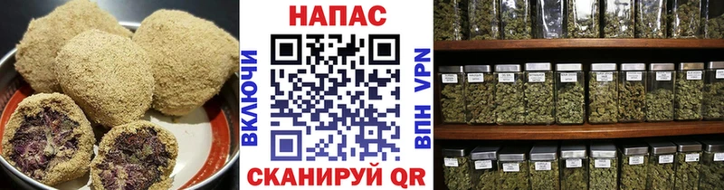 как найти наркотики  omg tor  Еда ТГК марихуана  Шахты 