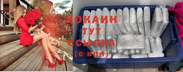 тгк Абинск