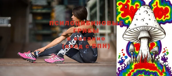 тгк Абинск