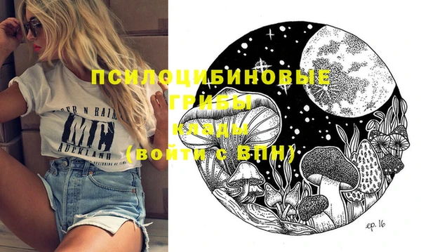 тгк Абинск